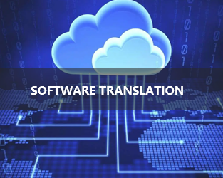 Software Translation